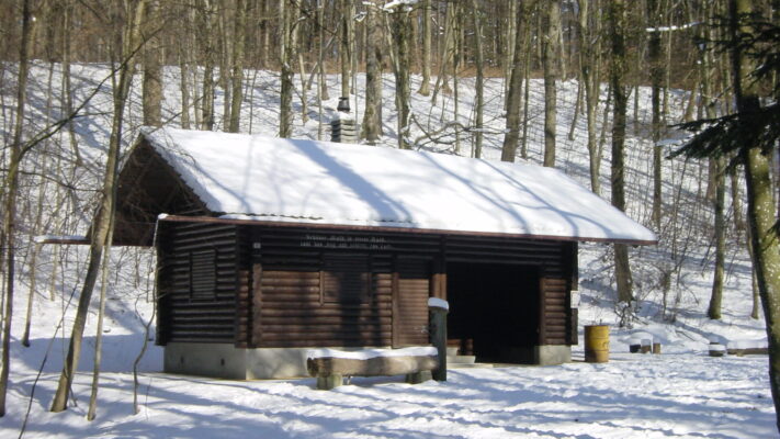 2005_Waldhüsli_3